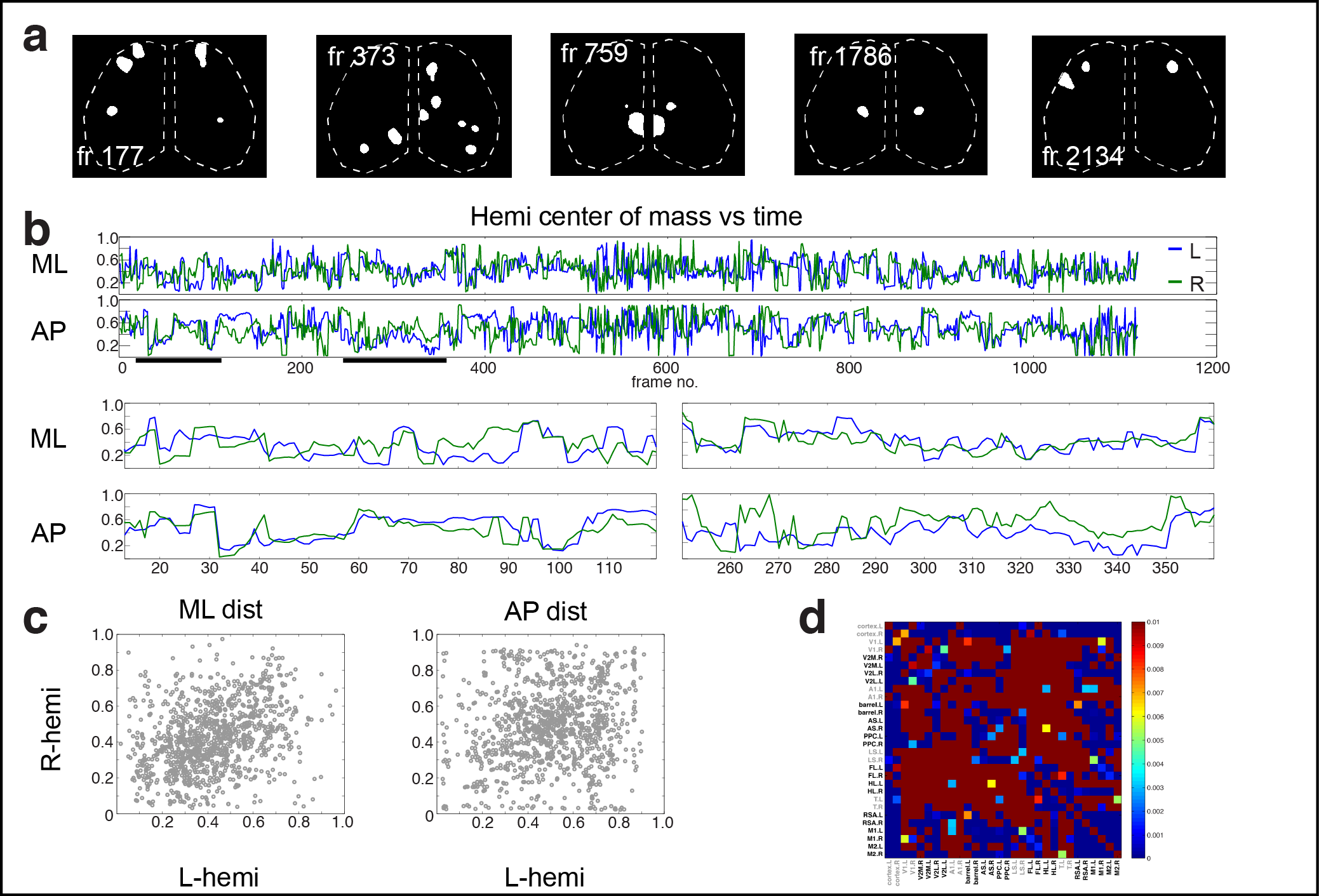 Figure 3. Cortical domain activity exhibits bilateral symmetry. a Examples of domains exhibiting spatially symmetric activations. Notice most timepoints contain a mixture of symmetric and asymmetric domain activations. b Hemispheric domain centers of mass for coactive frames in a recording along medial-lateral (ML) and anterior-posterior (AP) extents. Bottom panels show the periods indicated by black bars at expanded view. c Plot of hemispheric domain centers of mass for coactive frames. d Correlation matrix of domain activity among cortical areas.