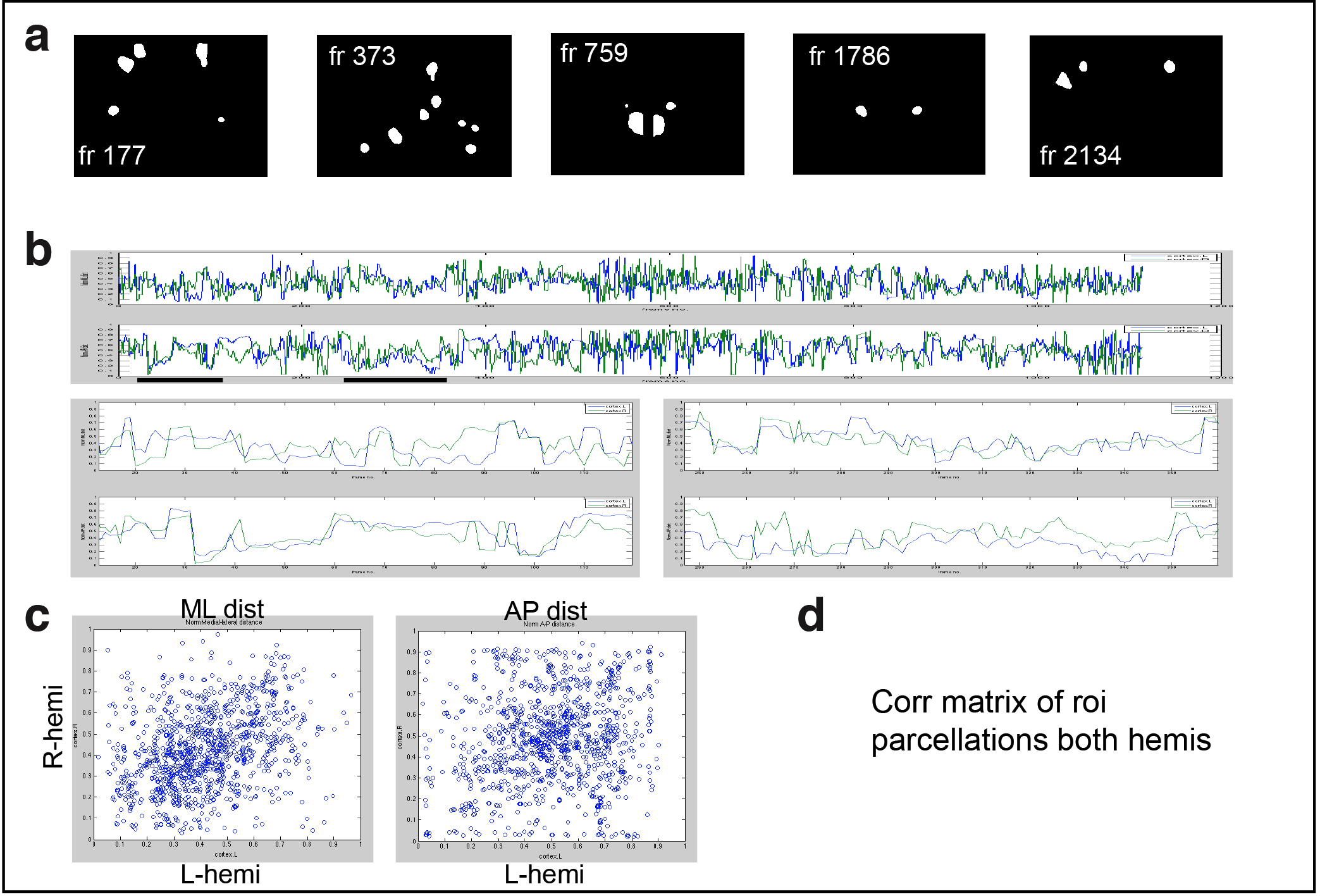 Figure 3. Cortical domain activity exhibits bilateral symmetry