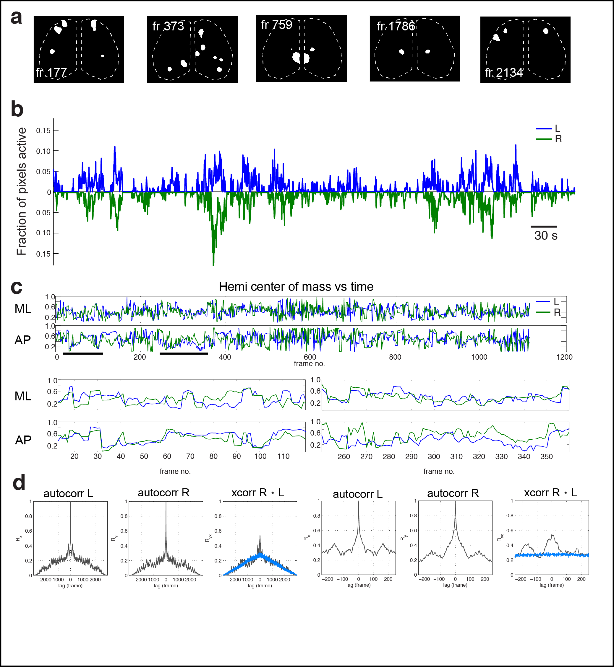 Figure 2. Cortical domains are state dependent. a Experimental schematic. Red light illumination measured with a photodiode (PD) was used to monitor motor activity. b dF/F image sequence showing cortical domain activity before and after isoflurane anesthesia within a single recording. c Cortical activity (active fraction) in each hemisphere after onset of gas anesthetic. d Hemispheric autocorrelation and cross-correlation functions for cortical activity at all and short time lags. Notice the peaks above gaussian distributed noise (blue traces). e Cortical activity and coincident motor activity signals. Moving averages of cortical and motor activity at 10 s and >70 s windows. f Single frame domain masks for times indicated in e. g Autocorrelation and cross-correlation functions for cortical and motor activity for the whole recording or during just the active-motor-period. Notice the correlation between cortical and motor activity above random noise and that motor activity generally follows cortical activity (shift towards right).