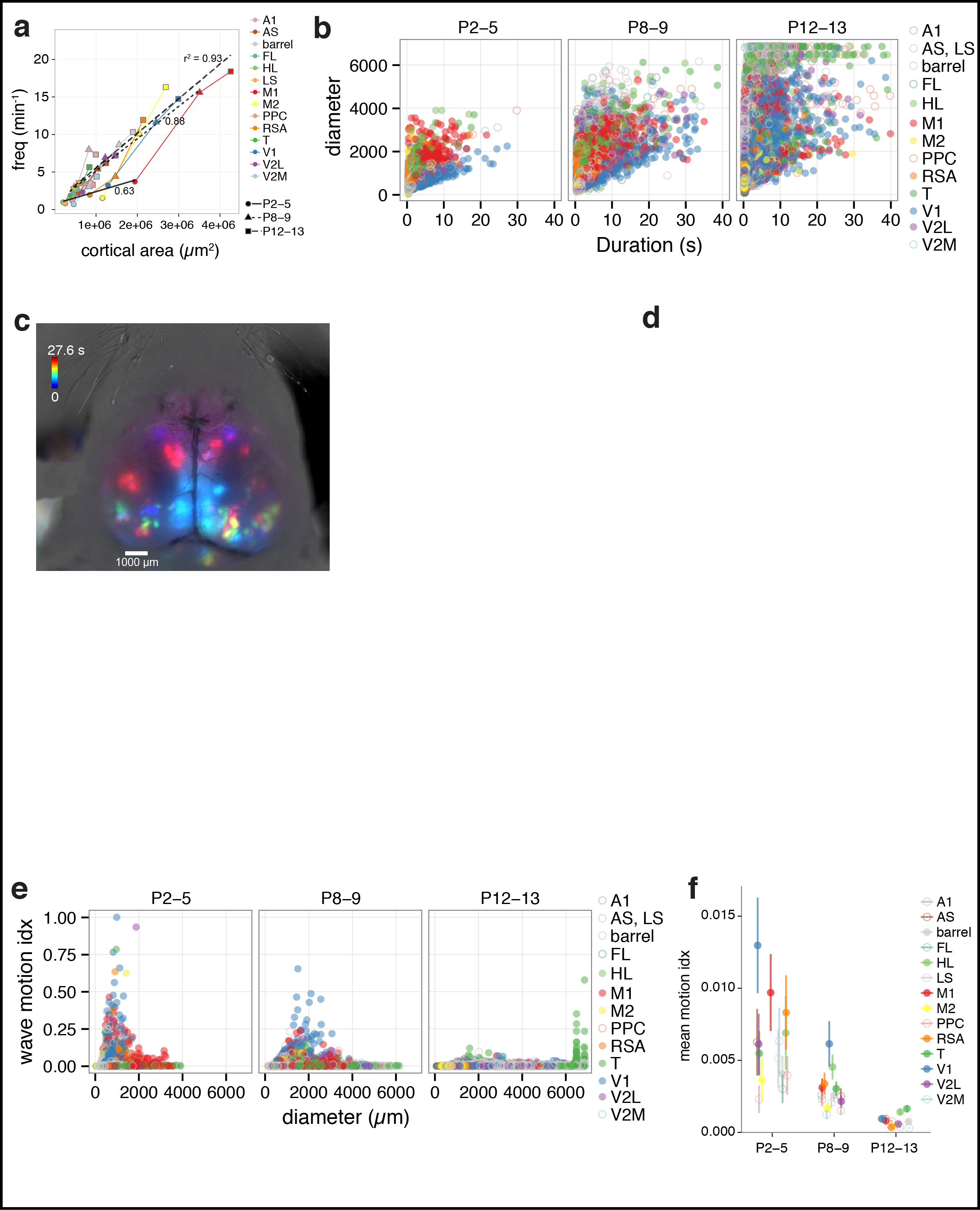 Figure 2. Spatiotemporal characteristics of cortical domains. a Domain frequency as function of cortical area size. b Scatterplots of domain diameter and duration. c Time projection maps of waves in visual cortex and motor cortex at P5. d Time projection maps of interareal activations at P13. e Scatterplots of wave motion index as function of domain diameter. f Mean wave motion index over development.